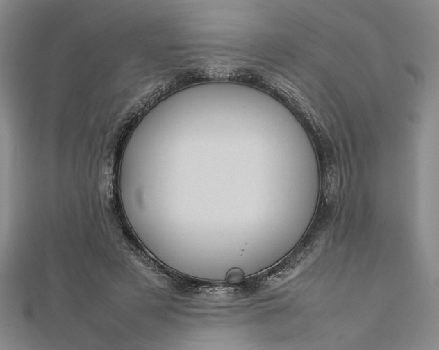 X0000112730497200909031447