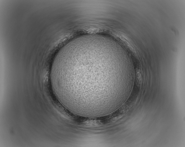 X0000112730499200909031447