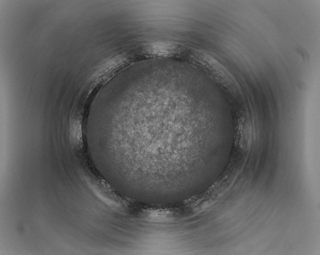 X0000112730500200909031447