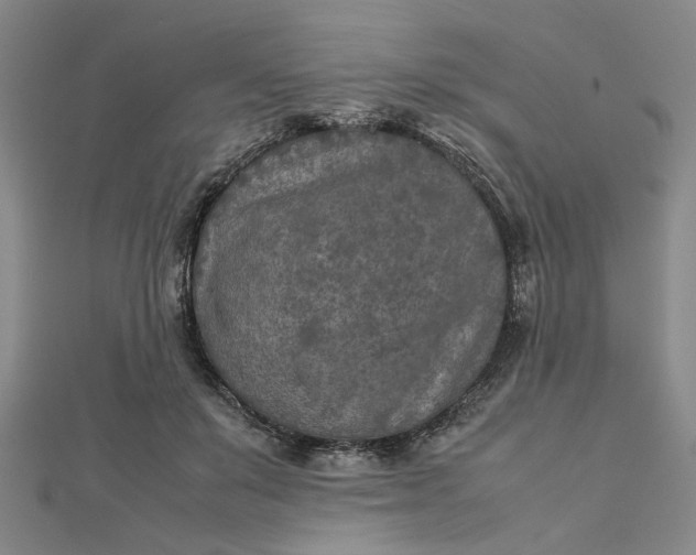 X0000112730503200909031447