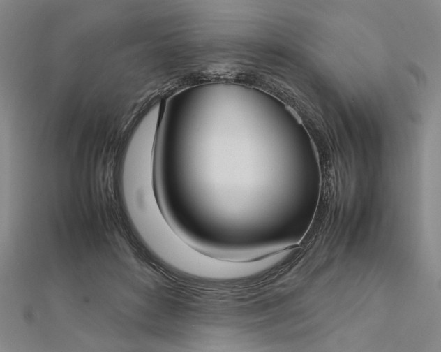 X0000112730504200909031447