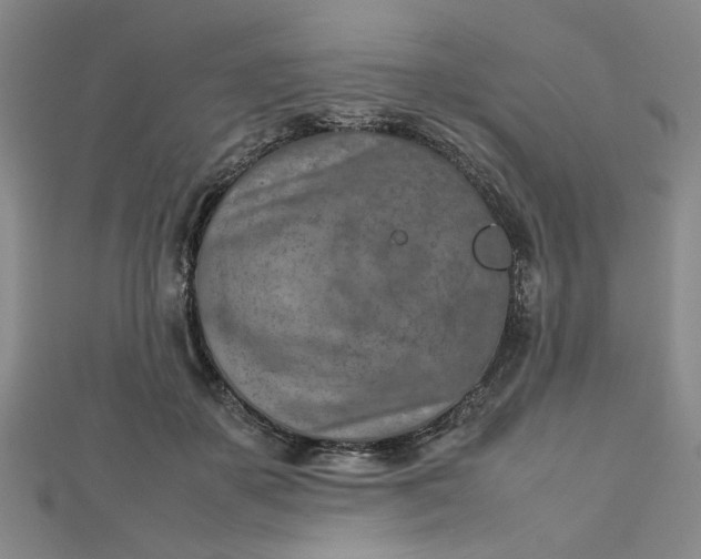 X0000112730507200909031447