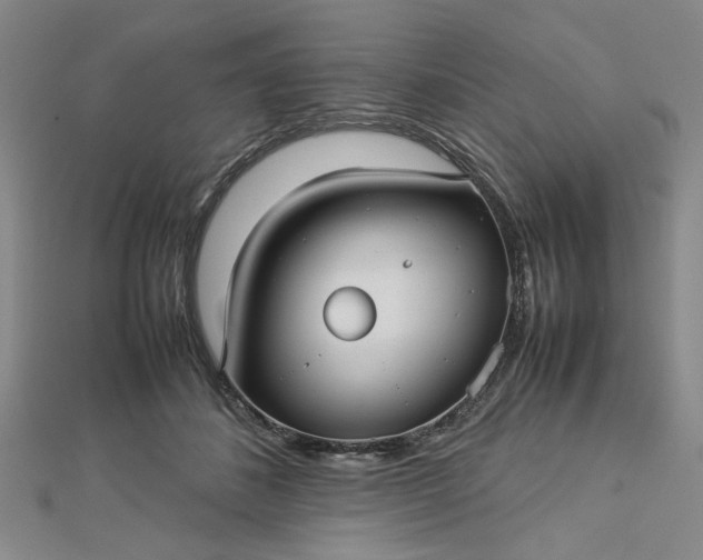 X0000112730508200909031447