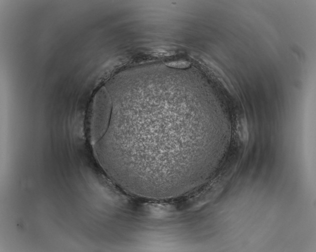 X0000112730512200909031447