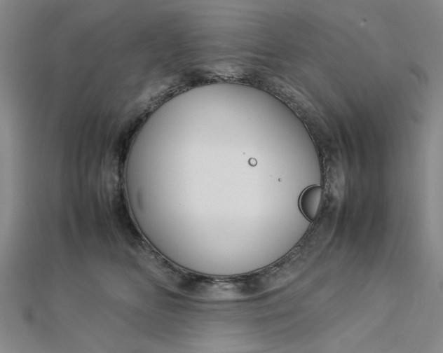 X0000112730518200909031447