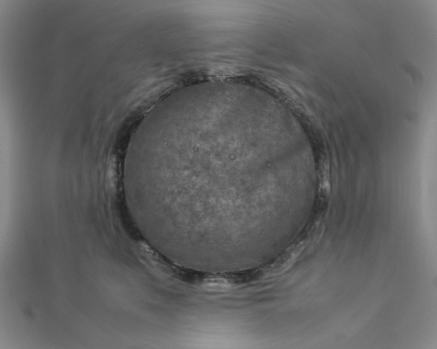 X0000112730519200909031447