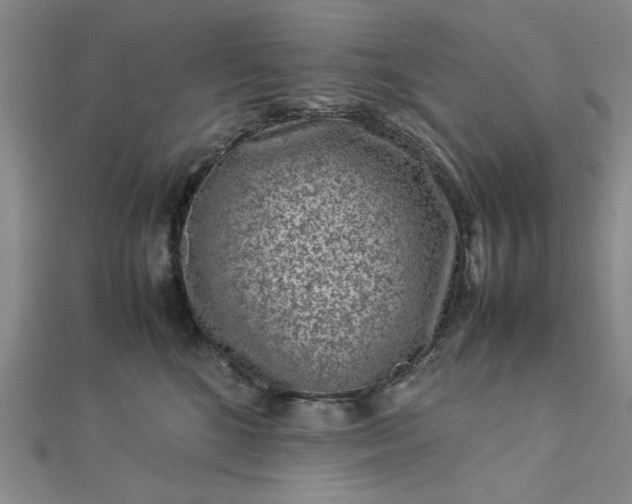 X0000112730520200909031447