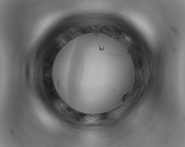 X0000112730526200909031447