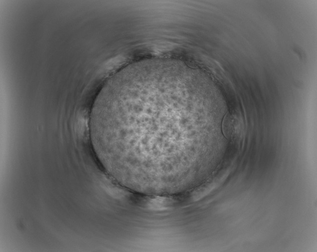 X0000112730527200909031447