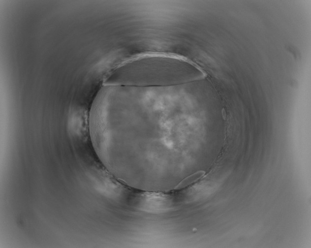 X0000112730528200909031447