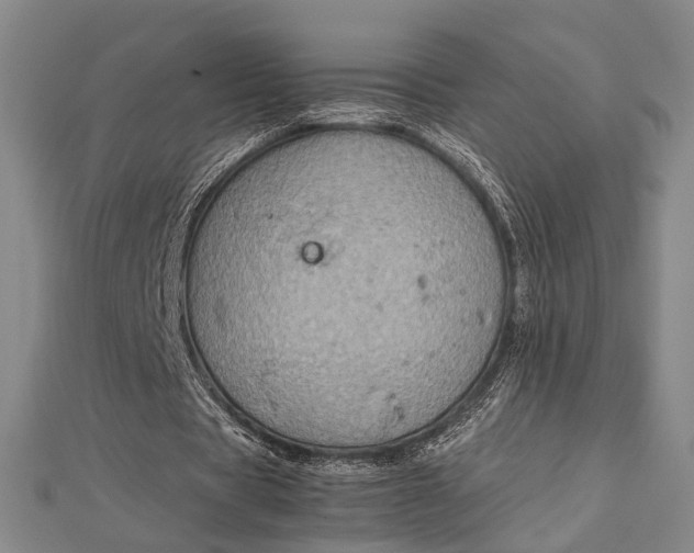 X0000112730529200909031446