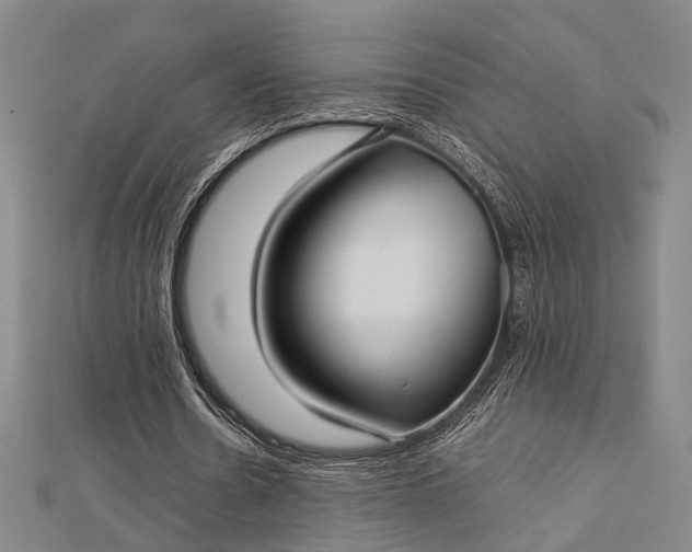 X0000112730530200909031446