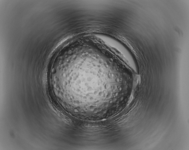 X0000112730531200909031446