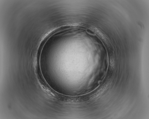 X0000112730532200909031446