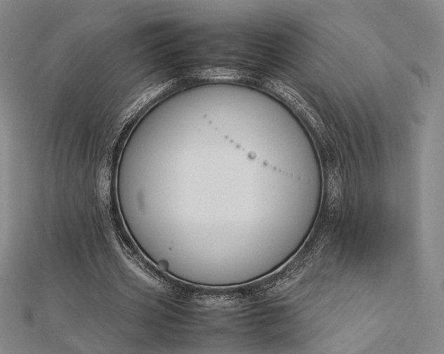 X0000112730533200909031446