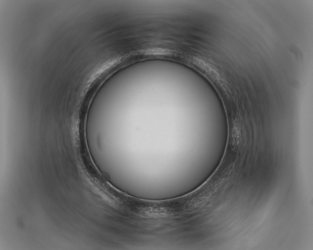 X0000112730535200909031446