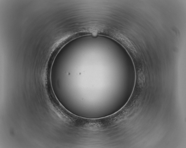 X0000112730536200909031446