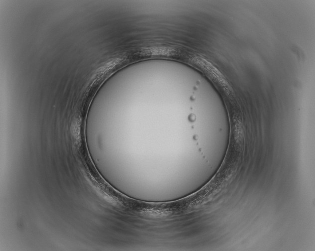 X0000112730537200909031446