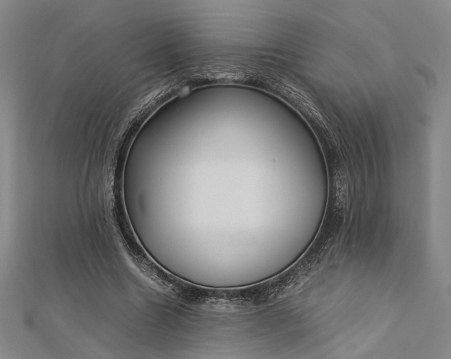 X0000112730538200909031446