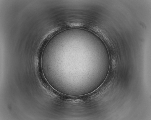 X0000112730539200909031446