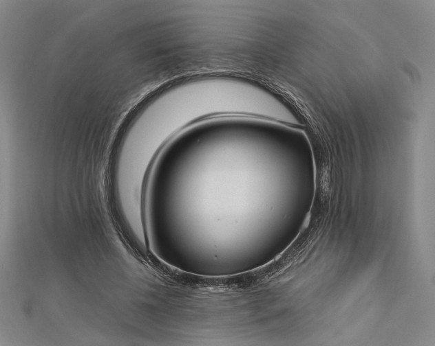 X0000112730540200909031446