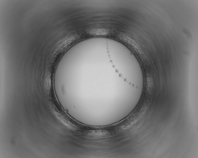 X0000112730541200909031446