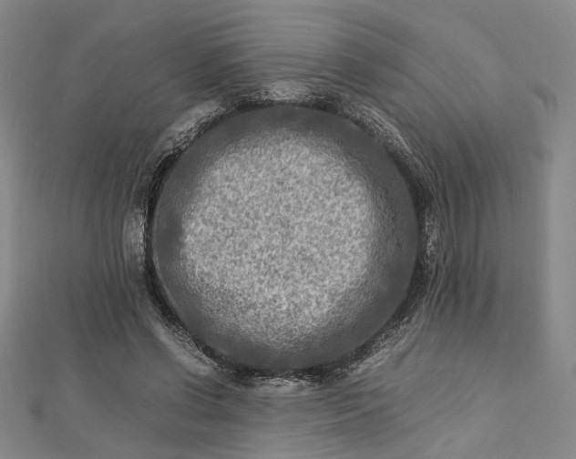 X0000112730542200909031446