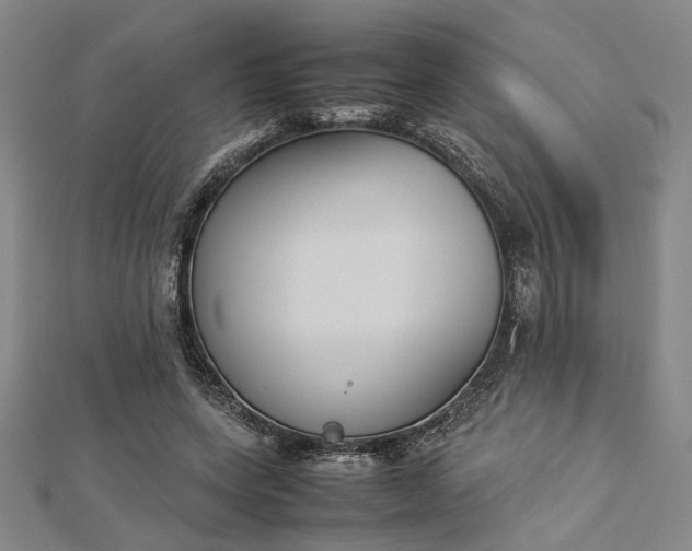 X0000112730543200909031446