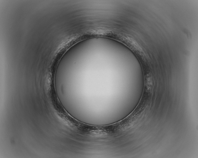 X0000112730544200909031446