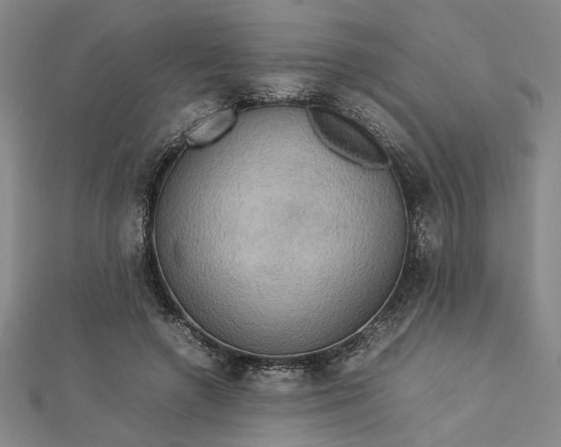 X0000112730546200909031447