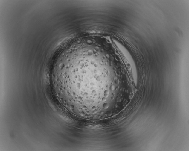 X0000112730547200909031447