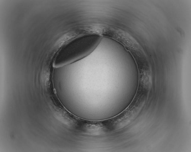 X0000112730548200909031447