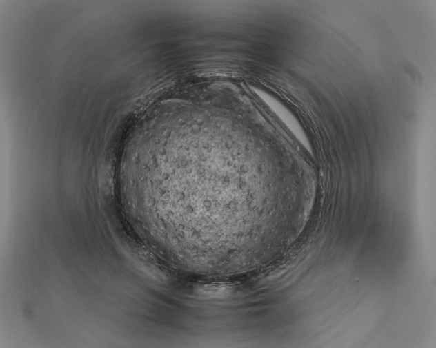 X0000112730551200909031447