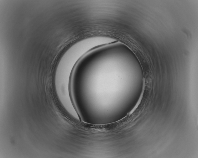 X0000112730552200909031447