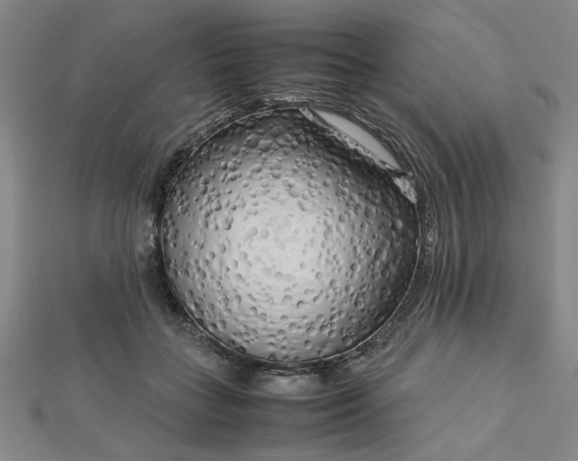 X0000112730555200909031447