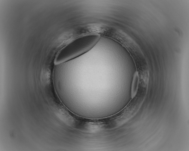 X0000112730556200909031447