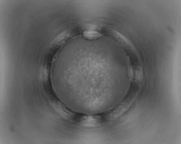 X0000112730558200909031447