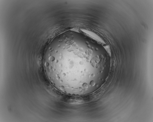 X0000112730559200909031447