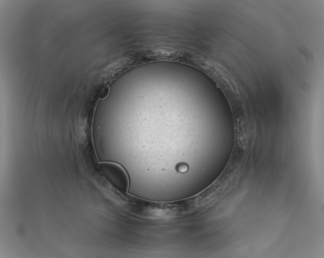 X0000112730563200909031447