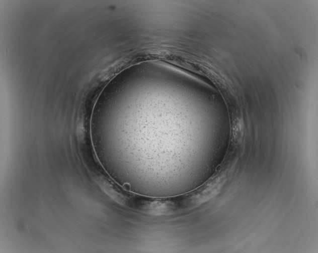 X0000112730566200909031447