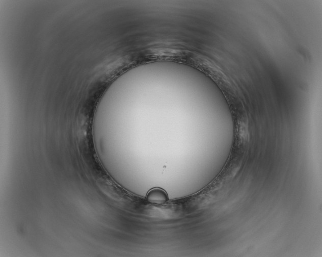 X0000112730567200909031447