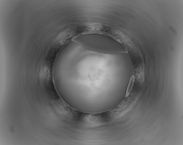 X0000112730568200909031447