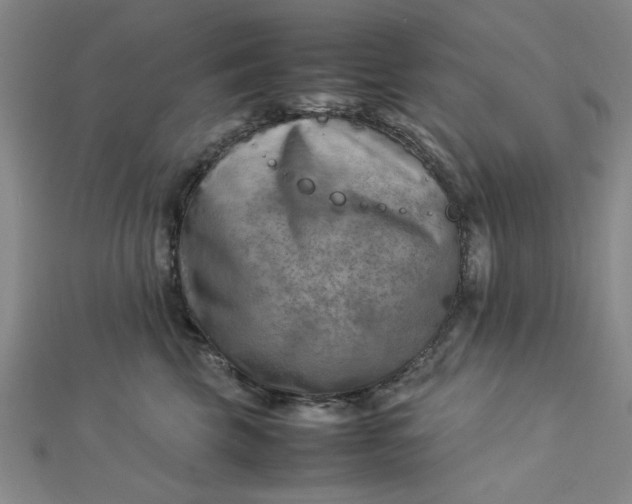 X0000112730569200909031447