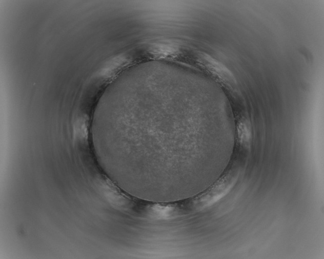 X0000112730570200909031447