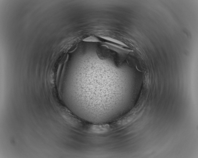 X0000112730571200909031447