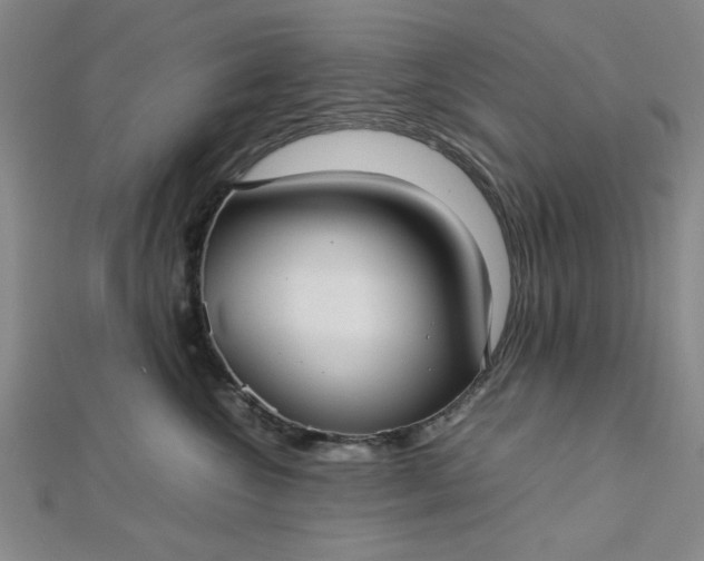 X0000112730572200909031447