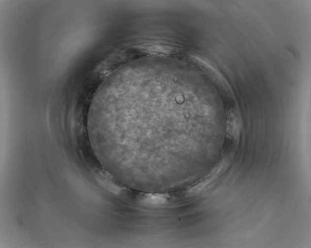 X0000112730573200909031447