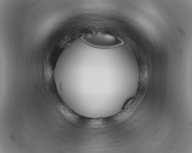 X0000112730574200909031447