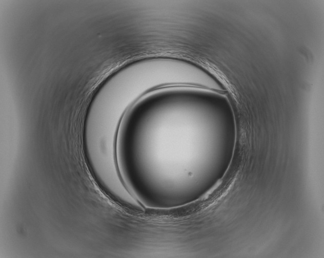 X0000112730577200909031446