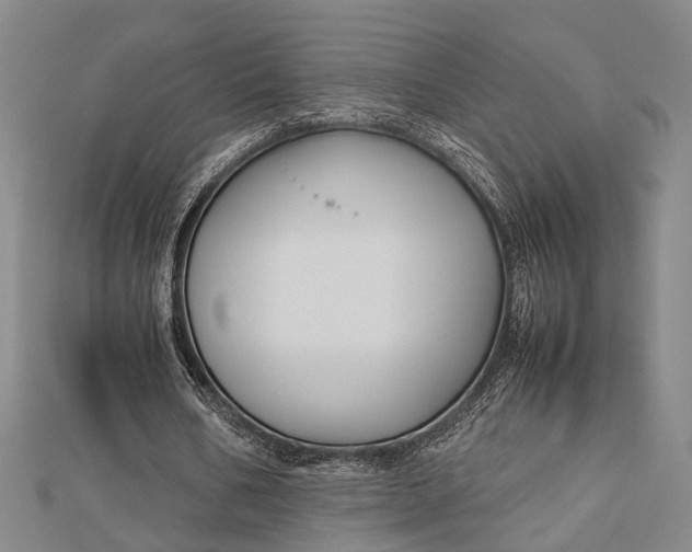 X0000112730578200909031446